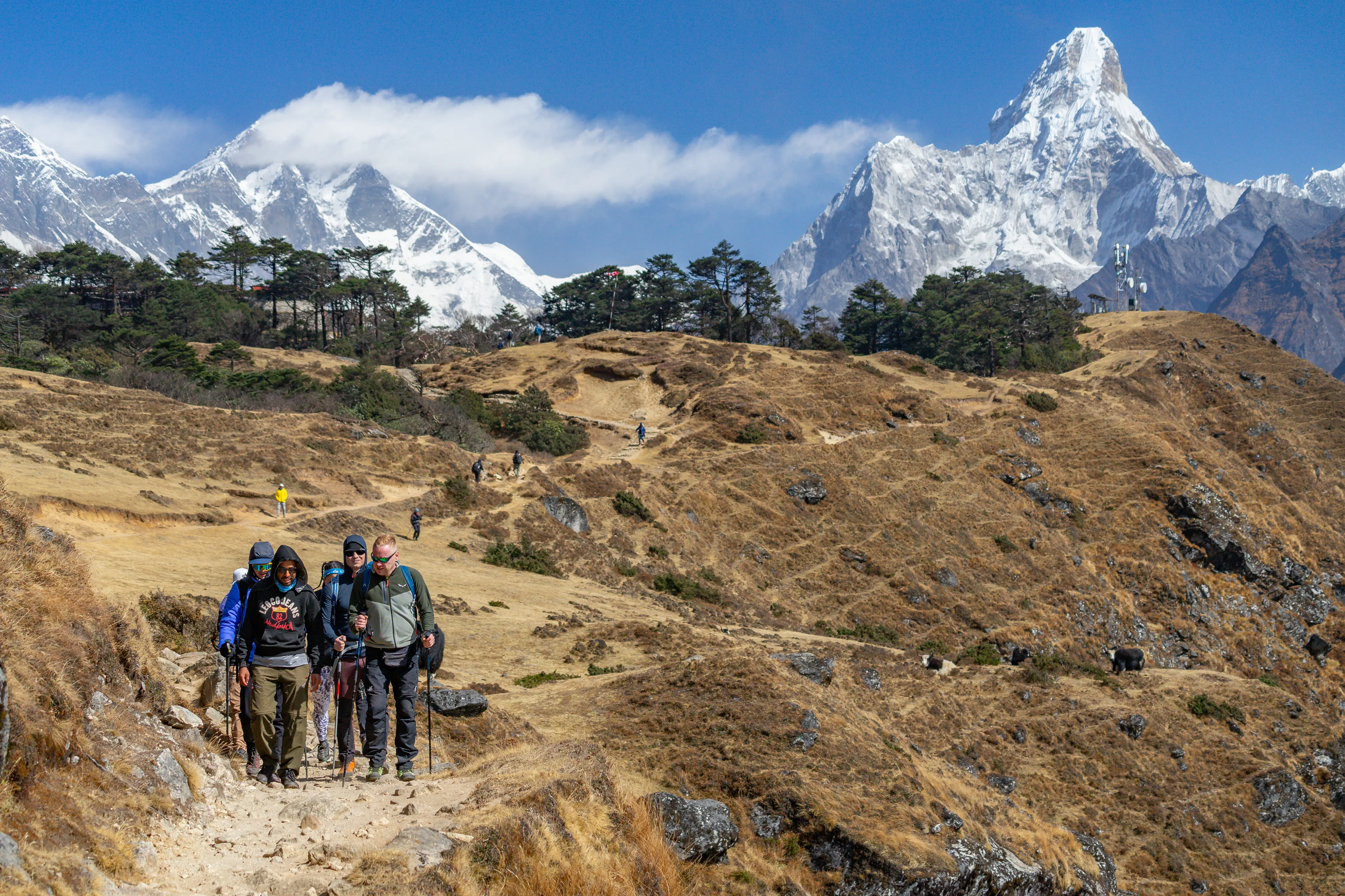 Ama Dablam commanding the Khumbu skyline above the trekking trail